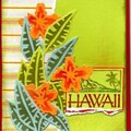 Hawaii Card