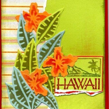 Hawaii Card