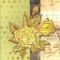 Roses Sympathy Card