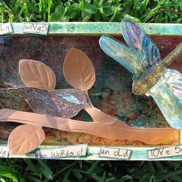 Dragonfly Altered Box