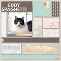 Eddy Spaghetti
