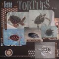 La ferme aux tortues - Turtles farm