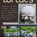 Tortues ~turtles