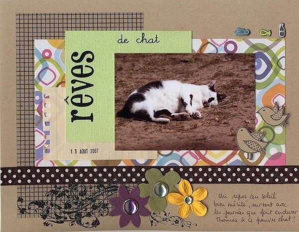 RÃªves de chat ~ Cat&#039;s dreams