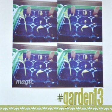 #garden13