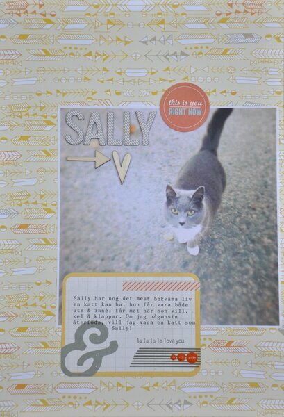 Oh, Sally!