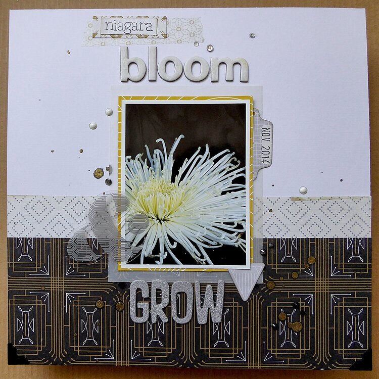 Bloom &amp; Grow