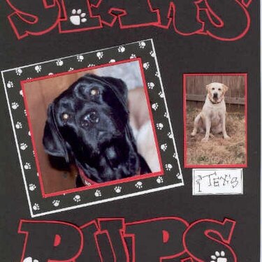 Star&#039;s Pups-Title Page