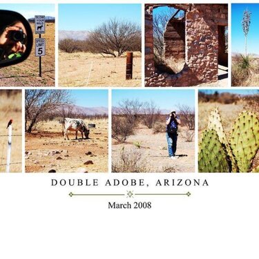 Double Adobe Arizona