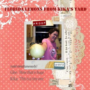 Florida Lemons