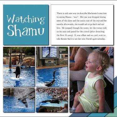 Watching Shamu