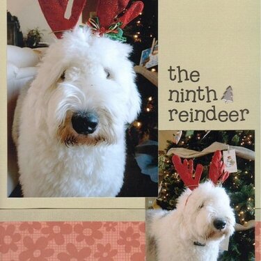 The Ninth Reindeer