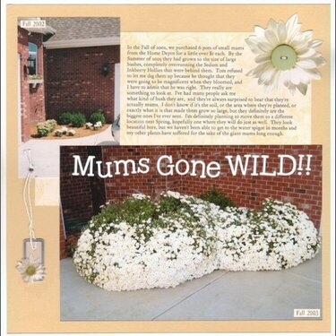 Mums Gone WILD!!