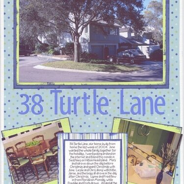 38 Turtle Lane