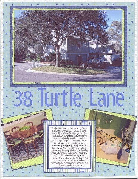 38 Turtle Lane