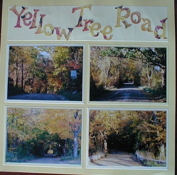 Follow The Yellow Tree Road