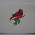 WF14 Cardinal