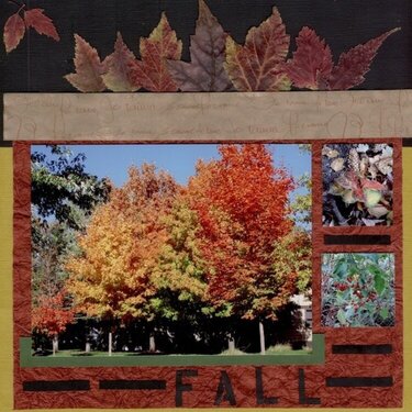 Fall {Fall Colors Challenge} 