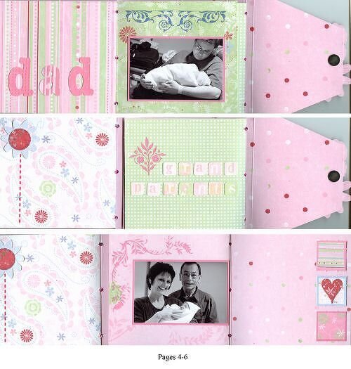 Gatefold Baby Book {Deja Views}