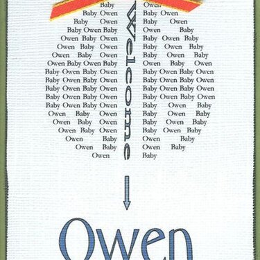 Welcome Owen {Congratulations Lisa!}