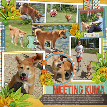 Meeting Kuma