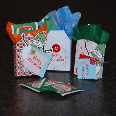 Teachers Gift - Little gift bags for Tea Bags
