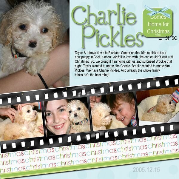 Charlie Pickles Comes Home - 1st digi LO