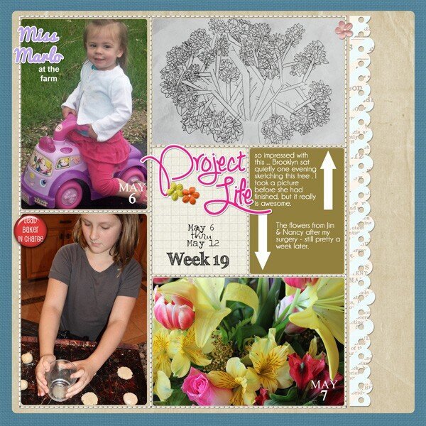 Project Life - Week 18/19 extra pages