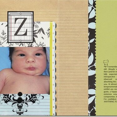 Themed Projects : Z