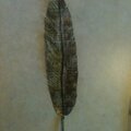 Vintage handmade feather