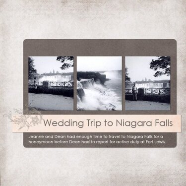 Wedding Trip to Niagara Falls