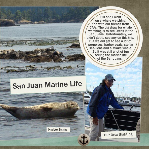 A Three Hour Tour:  San Juan Marine Life