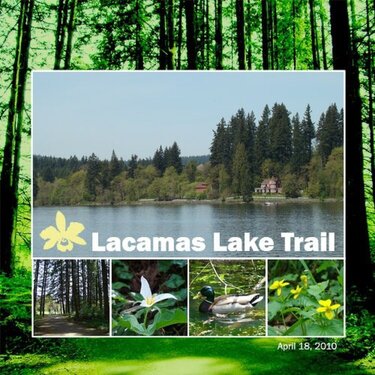 Lacamas Lake Trail-Digital and Weekly Challenge