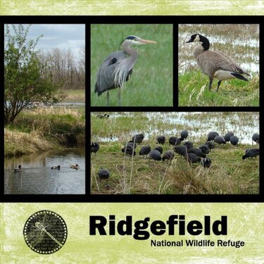 Ridgefield National Wildlife Refuge