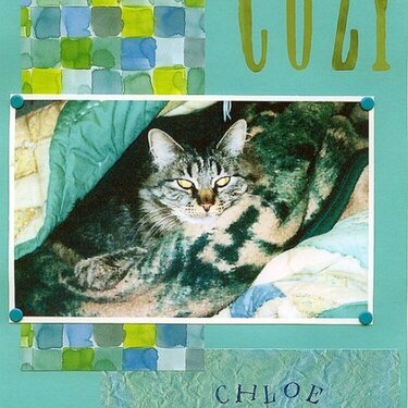 Cozy (cat)