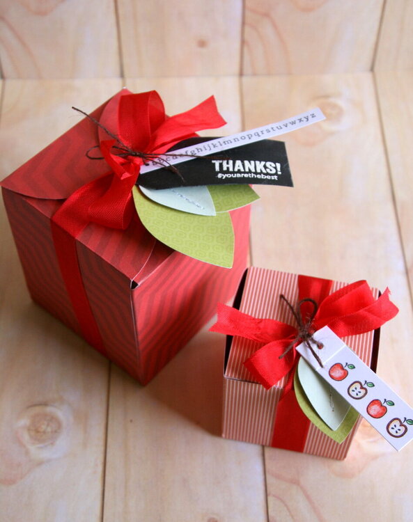 Teacher &#039;apple&#039; gift boxes