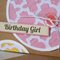 Birthday Girl