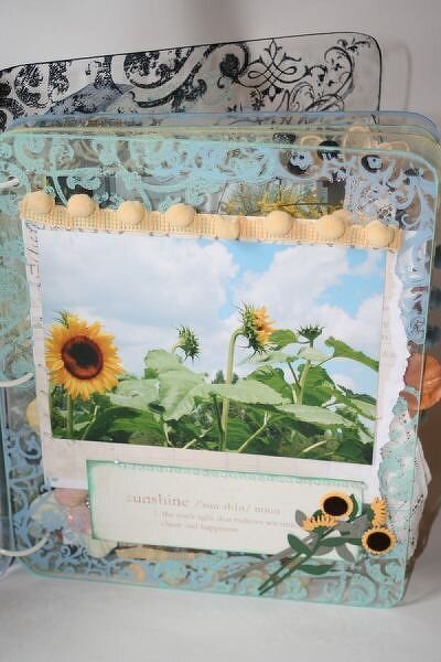 Garden acrylic album