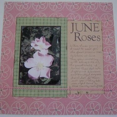 June Roses - Memories