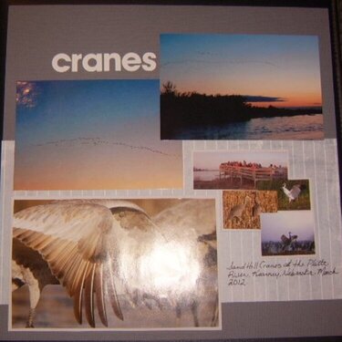 Cranes - Two page Layout