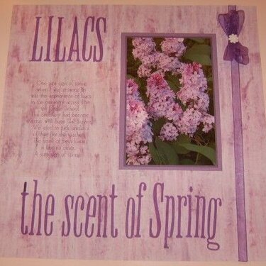 Lilacs - DW 2006