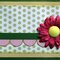 Birthday and all occasion cards