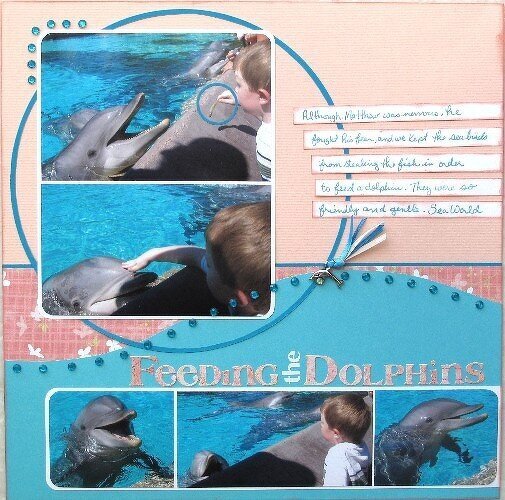 Feeding the Dolphins - Sea World San Diego