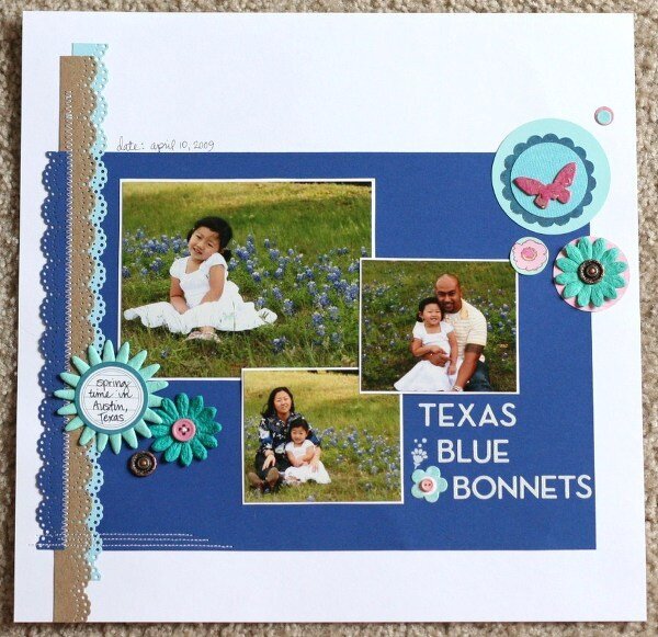 Texas Blue Bonnets