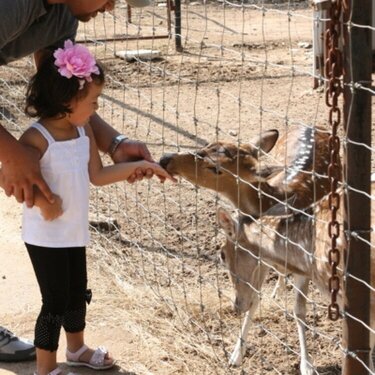 people, places: at the zoo/animal sanctuary