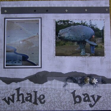 whale bay 