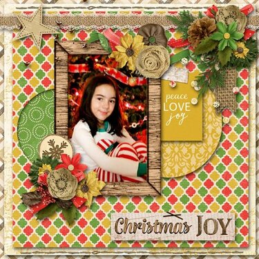Gina&#039;s Christmas Joy