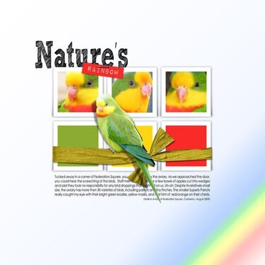 Nature&#039;s Rainbow