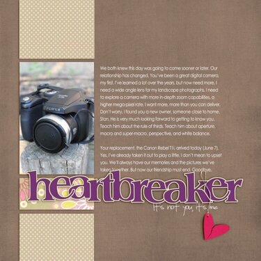 Heartbreaker (It&#039;s Not You, It&#039;s Me)