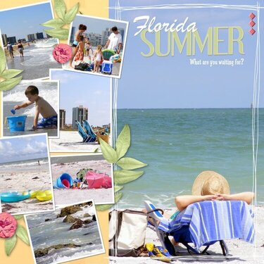 Florida Summer - Pub Ad Challenge